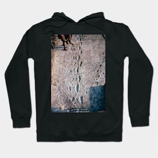 Excavation of the trail of Laetoli footprints. (E437/0040) Hoodie